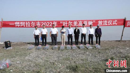 新疆兵团向塔里木河投放近百万尾“叶尔羌高原鳅”