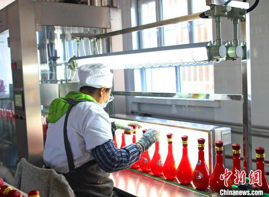 酒装瓶。　张万成 摄