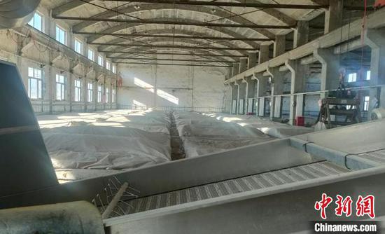 窖池车间。　张万成 摄