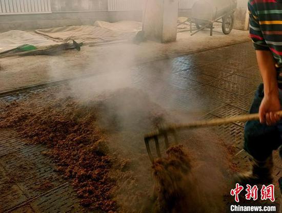 凉曲。　张万成 摄