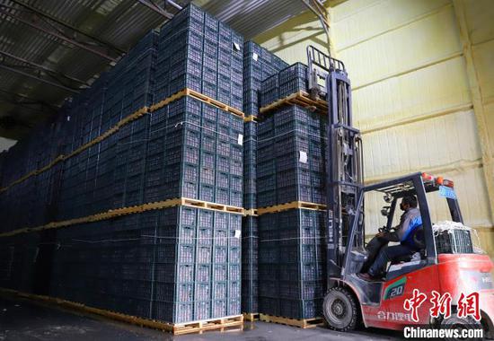 图为梳果，以提高商品果率。　李康 摄