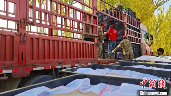 核桃林场加工好的核桃产品在入库。 金晓 摄 核桃林场加工好的核桃产品在入库。 金晓 摄