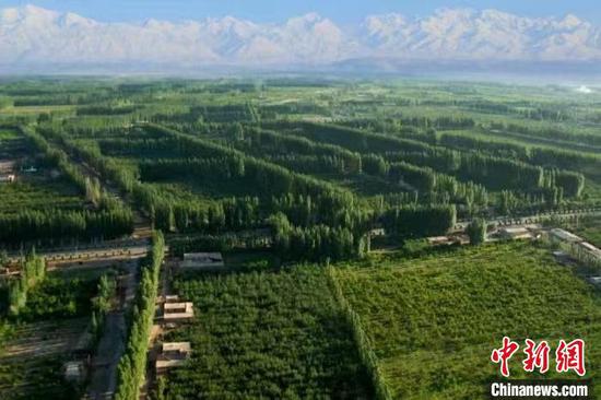 柯柯牙绿化工程一角。　阿克苏地委宣传部提供