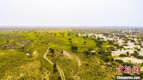 专稿 | 屯垦戍边70年 三五九旅传承地如何“沙海播绿”见绿洲？