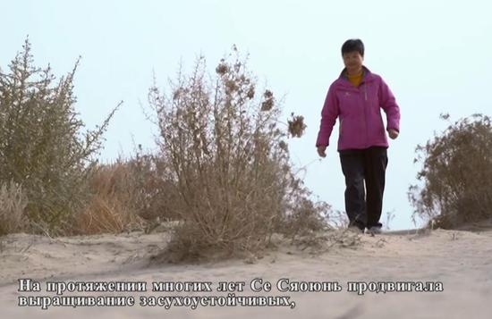破解治沙难题的中国治沙人谢小云