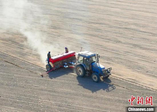 在第二师21团高标准农田中,一台播种机正在播种春小麦。 白克斌 摄
