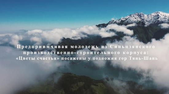 新疆生产建设兵团创业青年：天山脚下种出“幸福花”