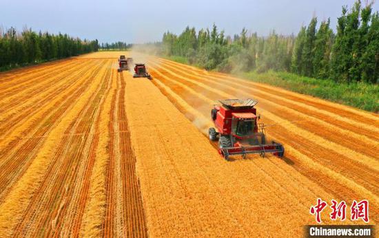 目前,新疆兵团粮食作物耕种收综合机械化率达100%,居全国领先水平(资料图)。 白克斌 摄