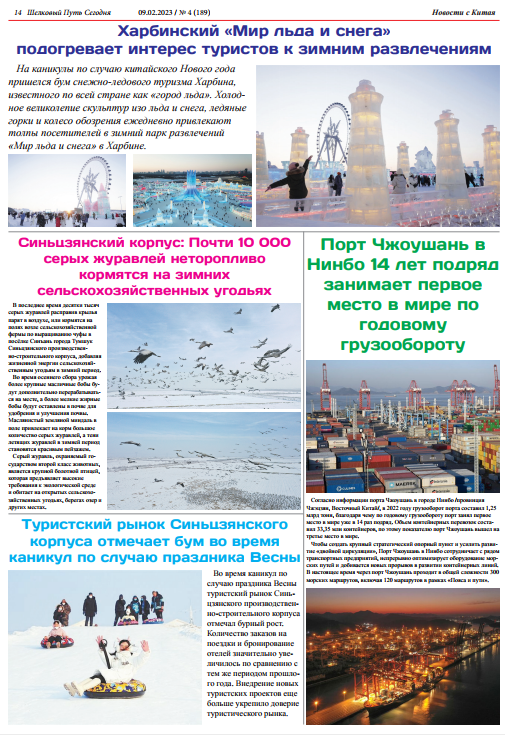 新疆兵团：冬日农田近万只灰鹤悠闲觅食