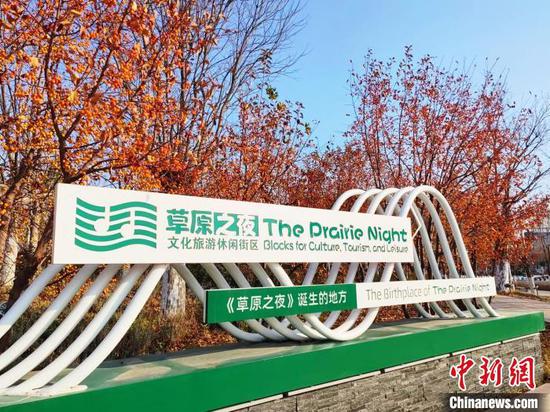 在可克达拉市栖息的黑天鹅。（资料图） 新疆兵团第四师可克达拉市融媒体中心供图