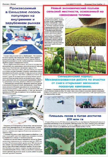 新疆兵团“大棚经济”赋能乡村振兴