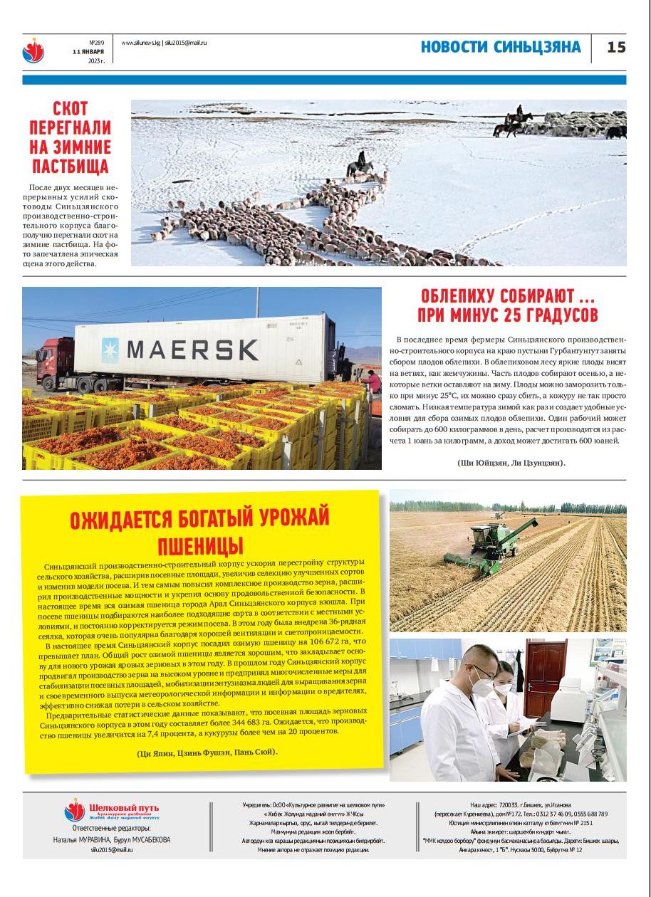 新疆兵团：提升粮食生产能力 保障粮食安全