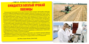 新疆兵团：提升粮食生产能力 保障粮食安全