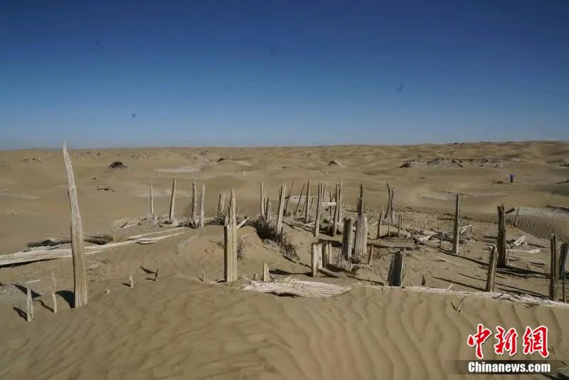 东西问·镇馆之宝丨阿迪力·阿布力孜：一枚方印，何以印证汉朝西域屯田史？