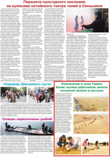 新疆塔里木垦区：千余名职工沙漠植绿