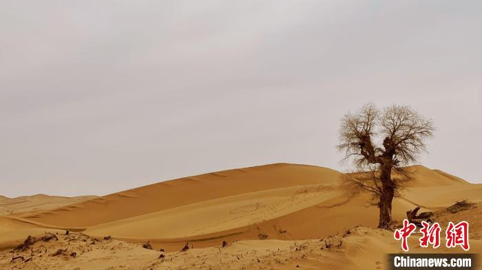 探险旅游产业何以成为新疆旅游“新蓝海”？