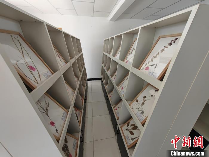 新疆草种业发展如何做到“趋利避害”？