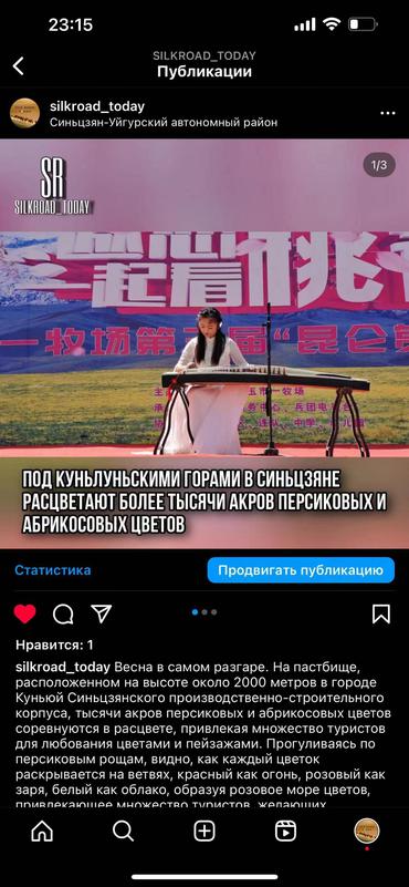 新疆昆仑山下上千亩桃花、杏花争相绽放