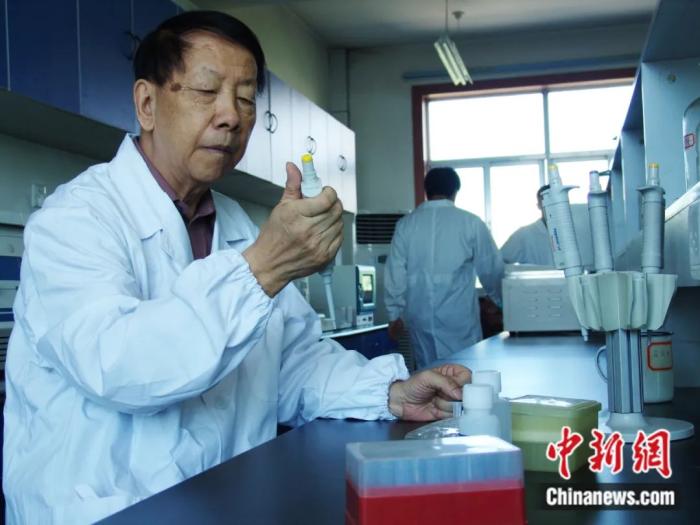 东西问·人物丨“中国细毛羊之父”刘守仁：天山脚下育良种