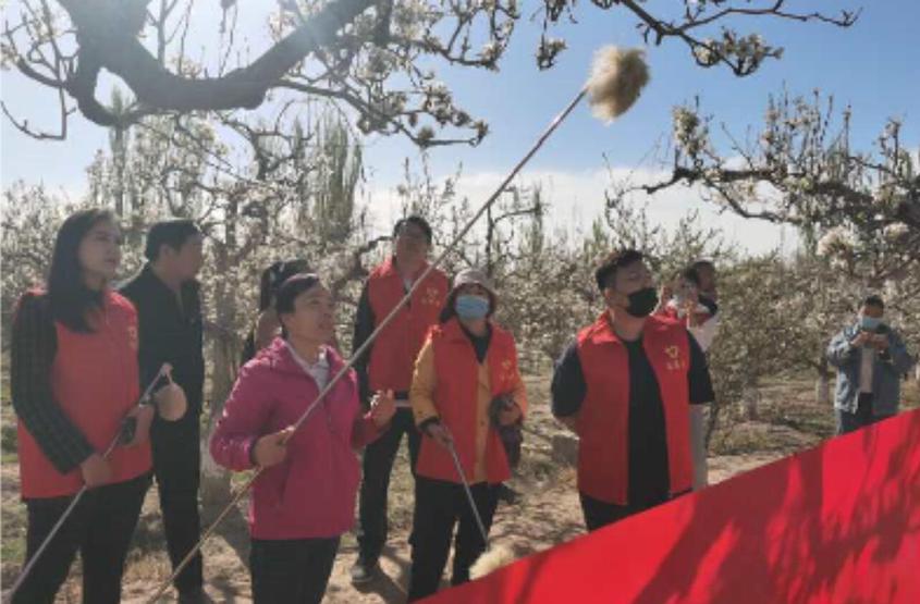 全国文化科技卫生“三下乡”活动服务标兵王秀琴：做农业再苦再累也心甘