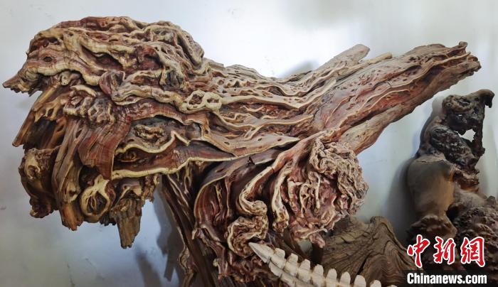 欲建根雕博物馆 新疆兵团这位技工何以痴迷朽木？