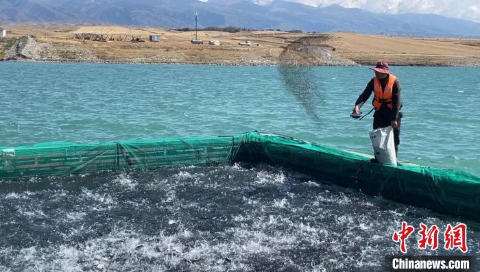 “离海最远”的新疆，为何能养“海鲜”？