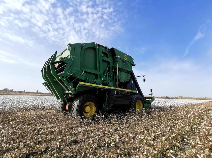 一三四团：36万亩棉花采收忙