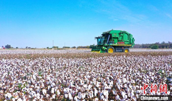 又到新棉交售季 新疆兵团落实棉花质量追溯成效几何？