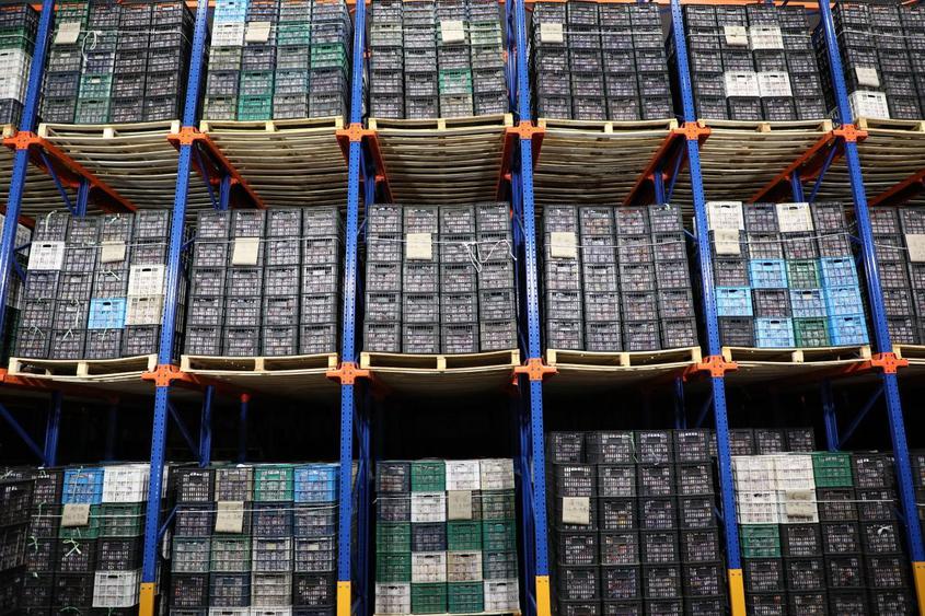 新年未至 年货先备，阿拉尔市年货节火热来袭