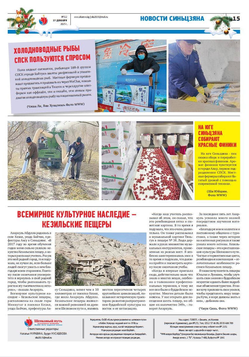 新疆南部红枣采收加工忙