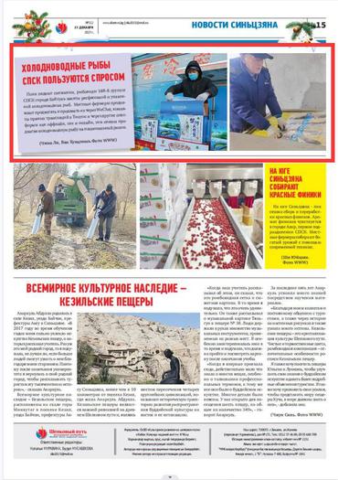 新疆兵团冷水鱼热销 新疆兵团冷水鱼热销