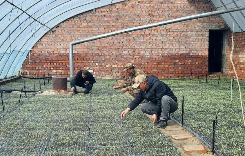 一四九团奏响“春耕曲”温室大棚育苗忙