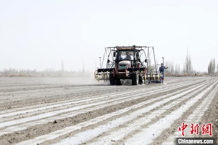 春耕春播季 新疆兵团农业何以持续“耕”新？