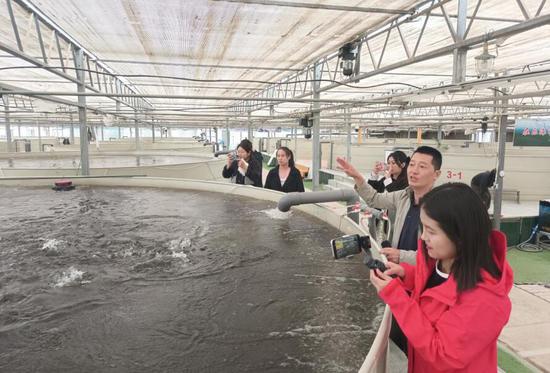 9月7日，新疆新途农业科技有限责任公司工作人员向媒体记者介绍水产养殖情况。糟玉琴 摄