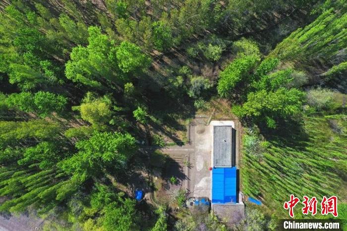 （繁荣兵团·新时代新征程）40余年守护 让荒山披绿