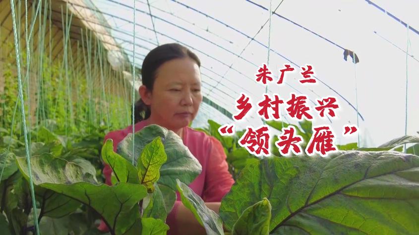 兵团榜样丨朱广兰：致富不忘桑梓情 一片丹心暖乡邻