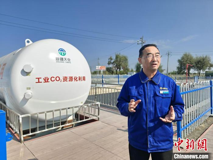 中国人“种菜天赋”有多强？戈壁荒漠变“智慧农场”