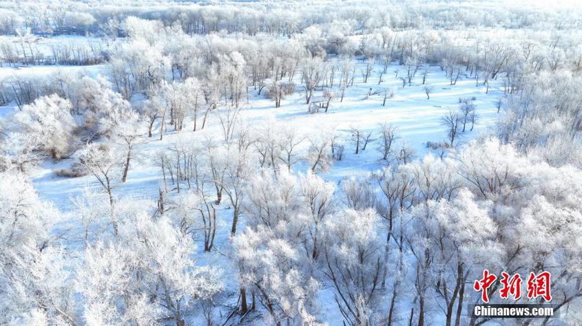 新疆北屯市雾凇美景如画