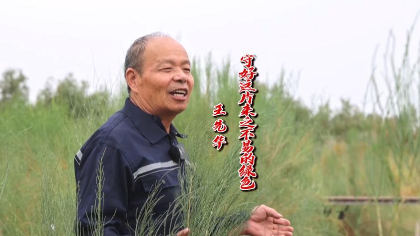 兵团榜样 | 王先华：在大漠中守护绿色奇迹