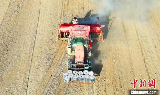 播种、覆土、铺设滴灌带等工序一气呵成。白克斌 摄 播种、覆土、铺设滴灌带等工序一气呵成。白克斌 摄