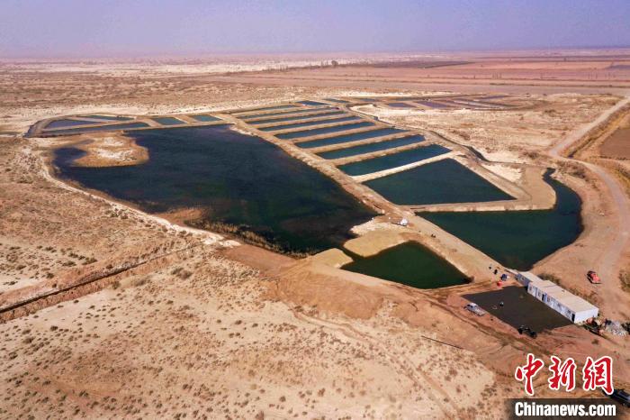 新疆南部特色水产养殖再添新品