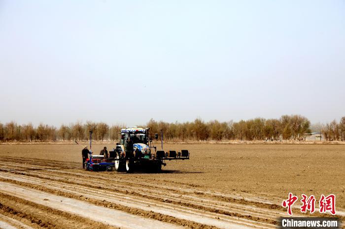 新疆兵团：现代农业跑出春耕春播“加速度”