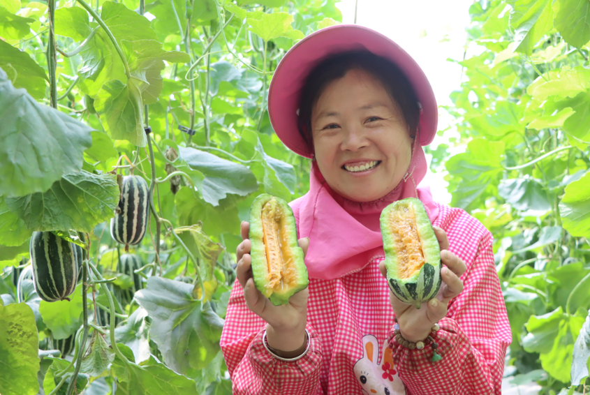 羊角蜜抢“鲜”上市