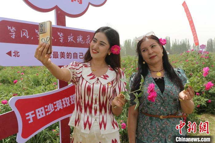 一朵花，在新疆为何能治沙又致富？