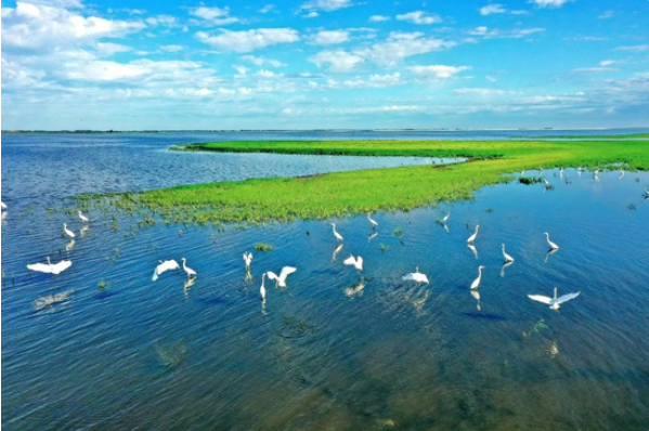 戈壁明珠的生态涅槃：蘑菇湖水库的生态戍边战