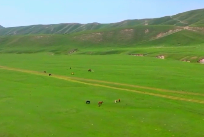 新疆阿拉尔市的天山牧场迎来最美季节 新疆阿拉尔市的天山牧场迎来最美季节