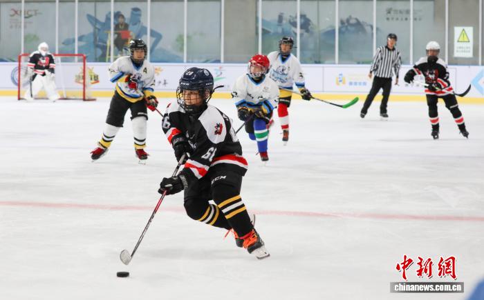 青海西宁：百余名冰球少年角逐高原冰场