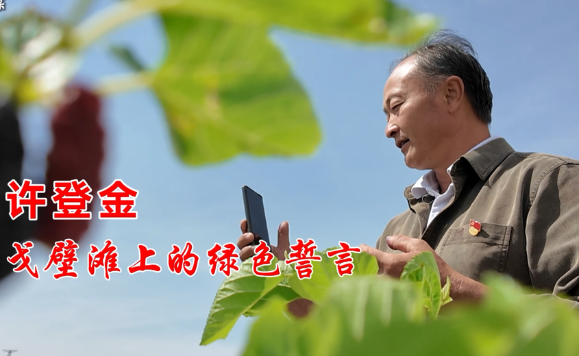 许登金：戈壁滩上的绿色誓言