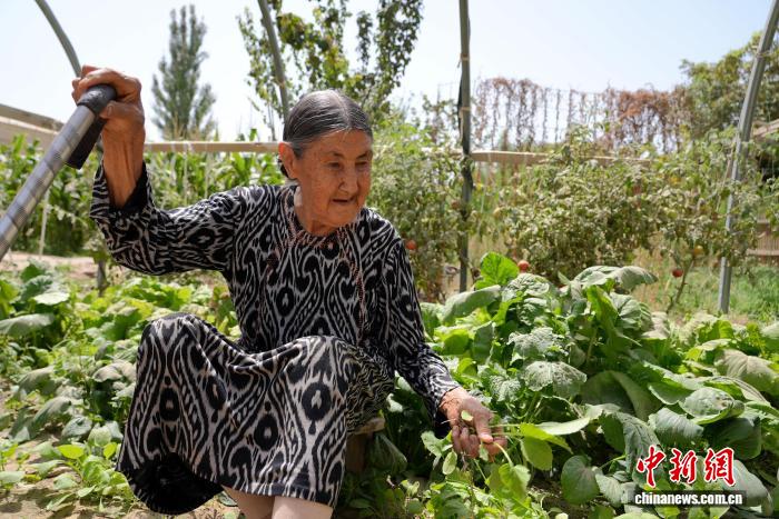 探访新疆长寿村拉依苏