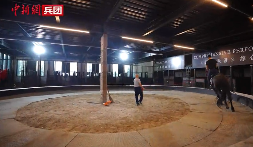 【与你为邻】吉国马戏表演技师:这里的人和马都是我的家人 【与你为邻】吉国马戏表演技师:这里的人和马都是我的家人